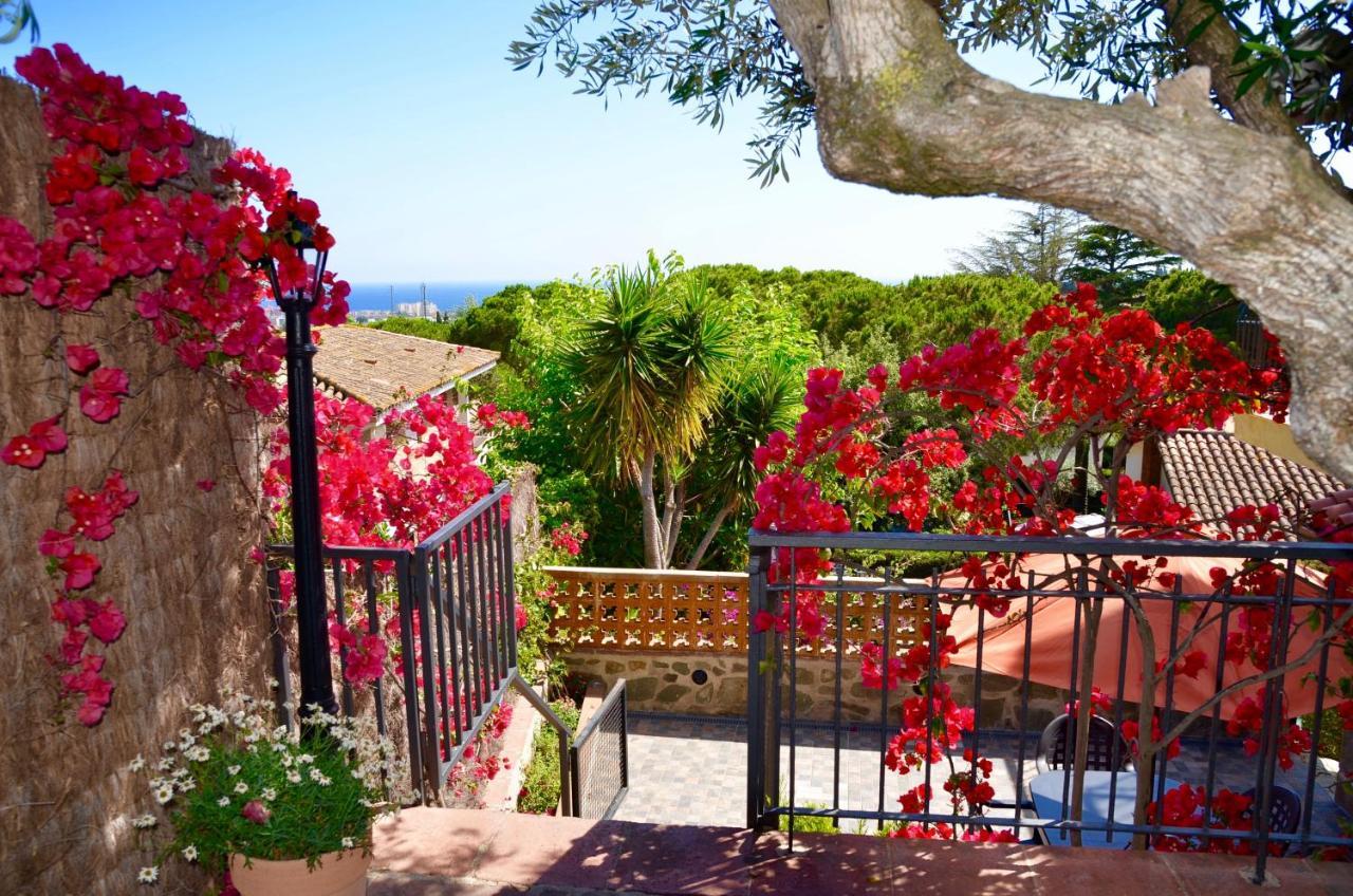 Arts House - Cabrils, Maresme, Barcelona Apartment ภายนอก รูปภาพ