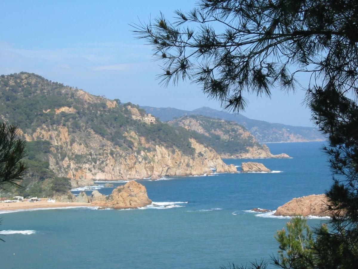 Arts House - Cabrils, Maresme, Barcelona Apartment ภายนอก รูปภาพ